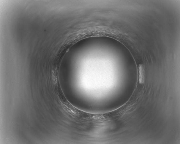 X0000065981491200603031141