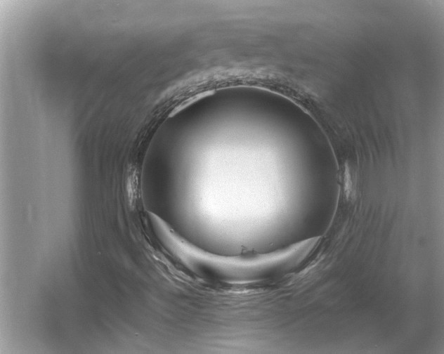 X0000065981492200603031141