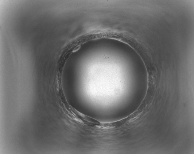 X0000065981493200603031141