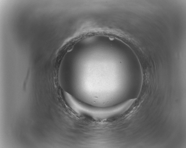 X0000065981494200603031141