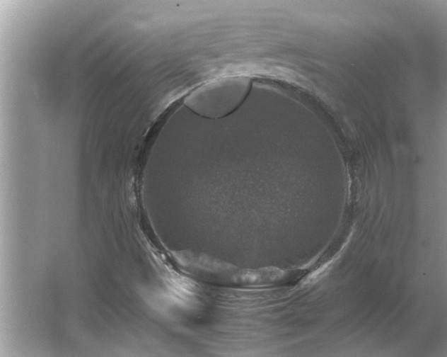 X0000065981497200603031141