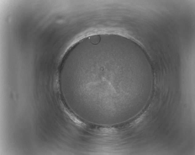 X0000065981498200603031141