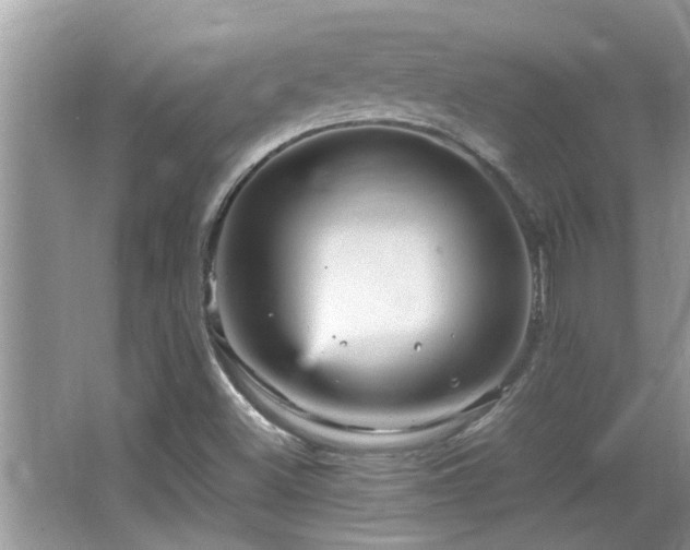 X0000065981500200603031141