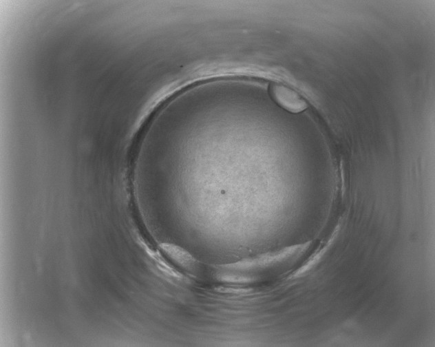 X0000065981501200603031141