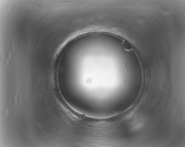 X0000065981502200603031141