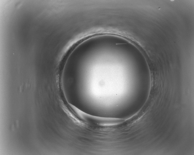 X0000065981503200603031141