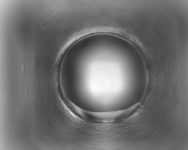 X0000065981504200603031141