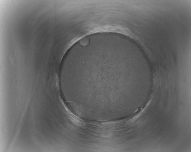 X0000065981505200603031141