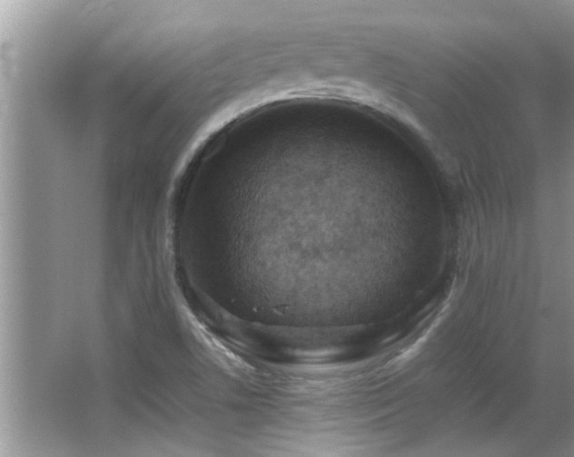 X0000065981506200603031141