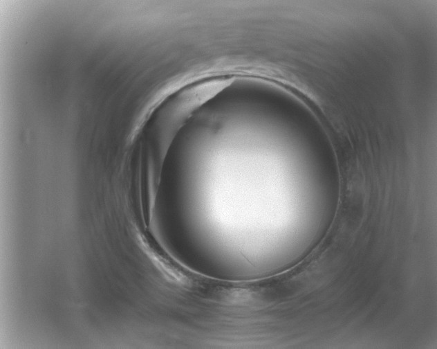 X0000065981507200603031141