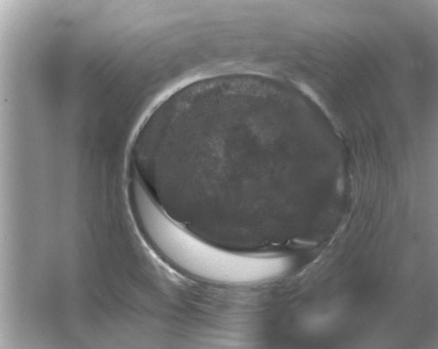 X0000065981508200603031141