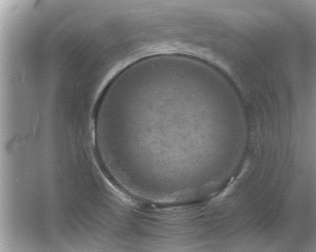 X0000065981509200603031141