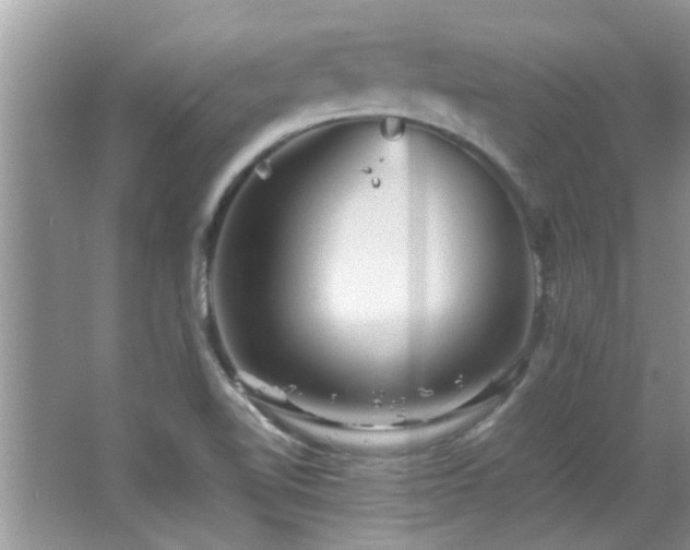 X0000065981510200603031141