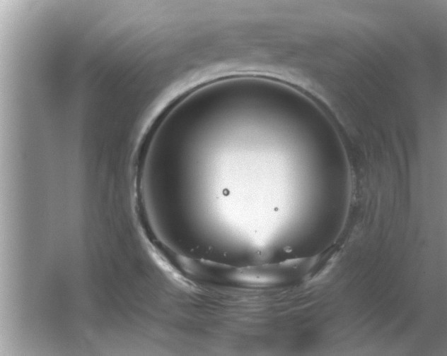 X0000065981511200603031141