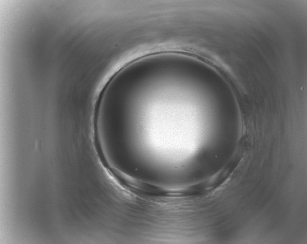 X0000065981512200603031141