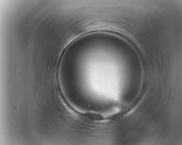 X0000065981513200603031141