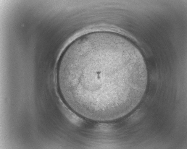 X0000065981514200603031141