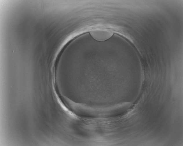 X0000065981515200603031141