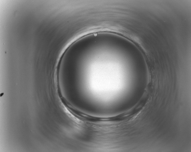 X0000065981516200603031141