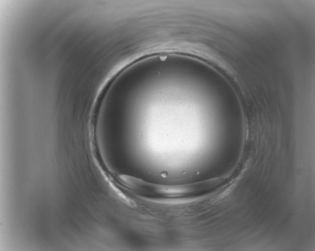 X0000065981517200603031141