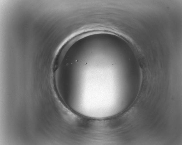 X0000065981518200603031141