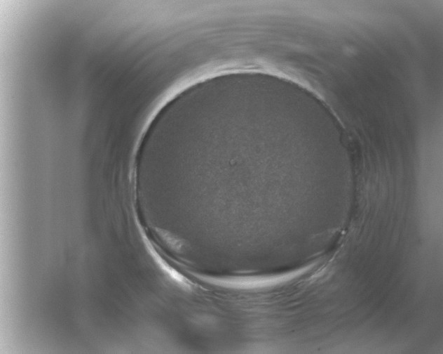 X0000065981519200603031141