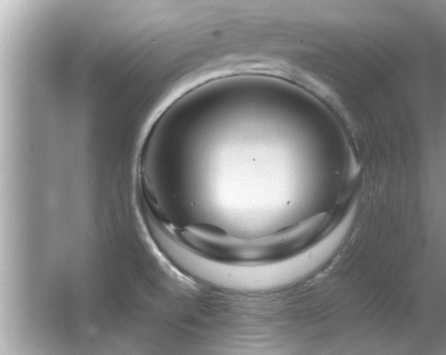 X0000065981520200603031141