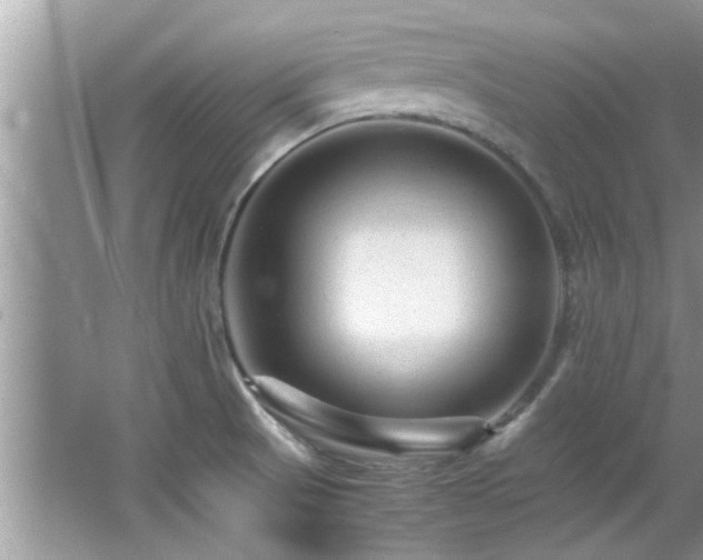 X0000065981521200603031141