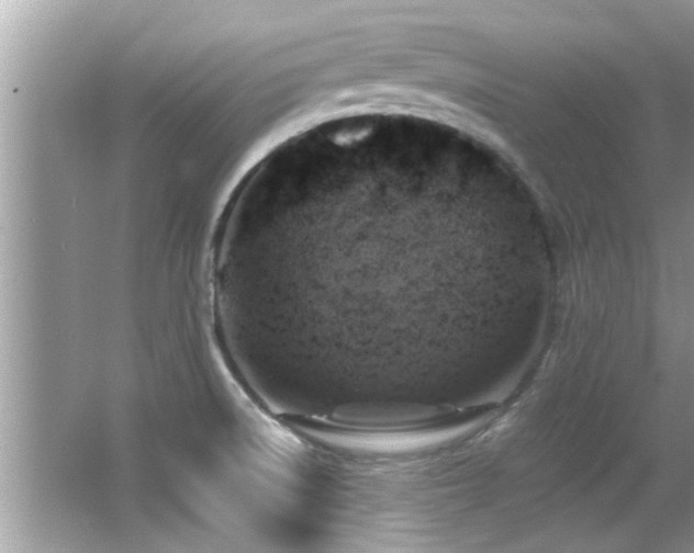 X0000065981522200603031141