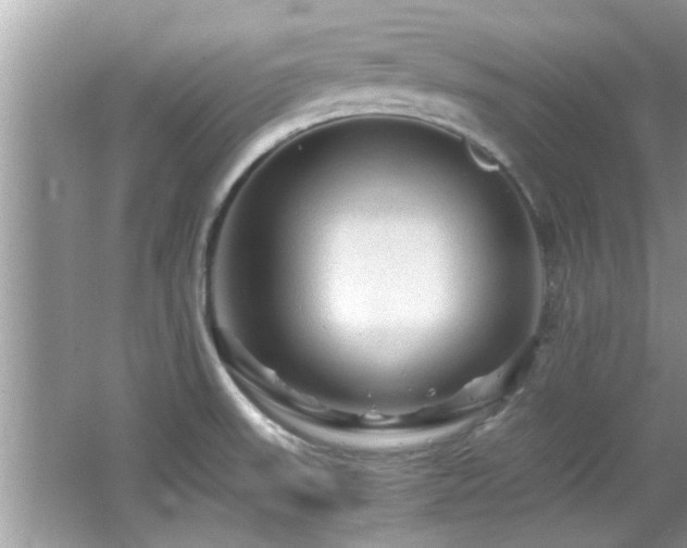 X0000065981523200603031141