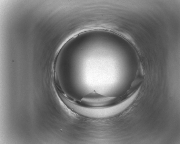 X0000065981524200603031141