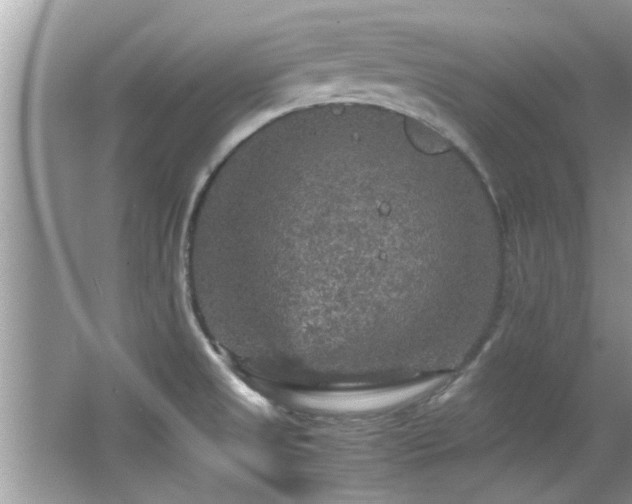 X0000065981525200603031141