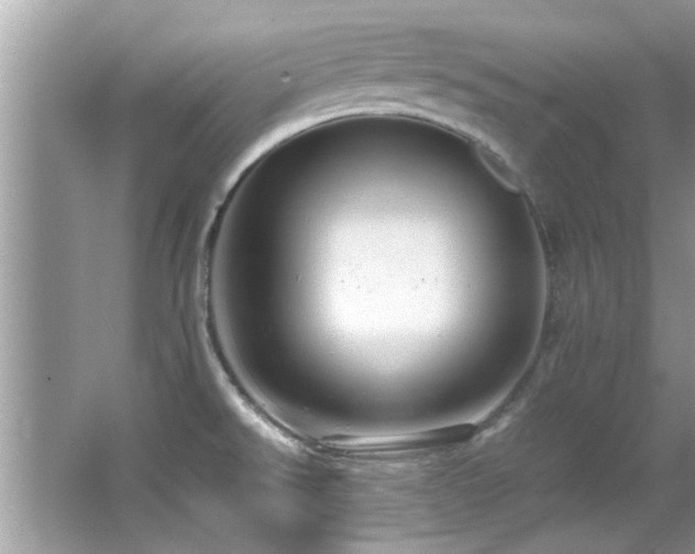 X0000065981526200603031141