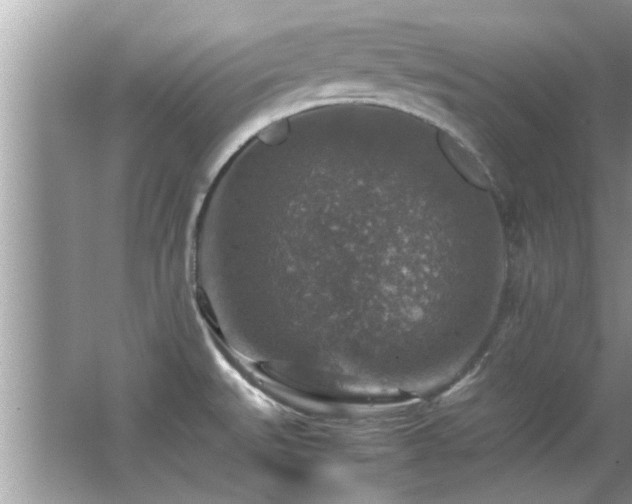 X0000065981527200603031141