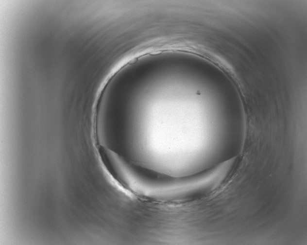 X0000065981528200603031141