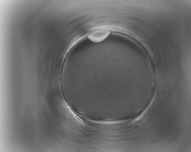 X0000065981529200603031141