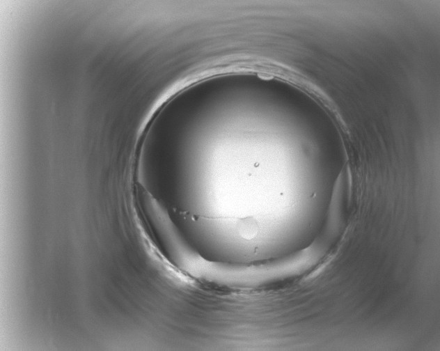 X0000065981530200603031141