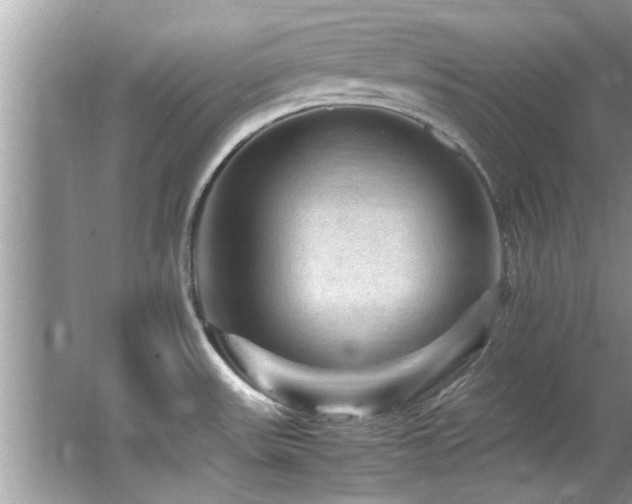 X0000065981531200603031141