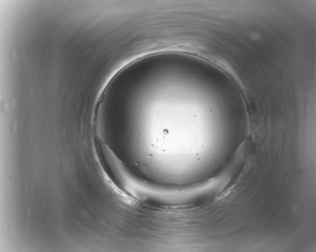 X0000065981532200603031141