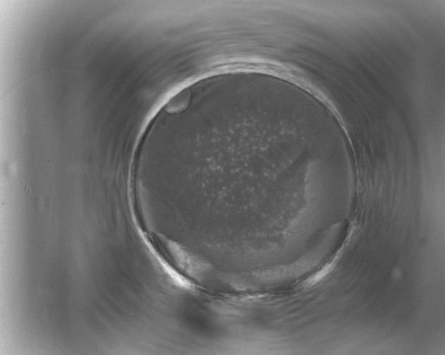 X0000065981533200603031141