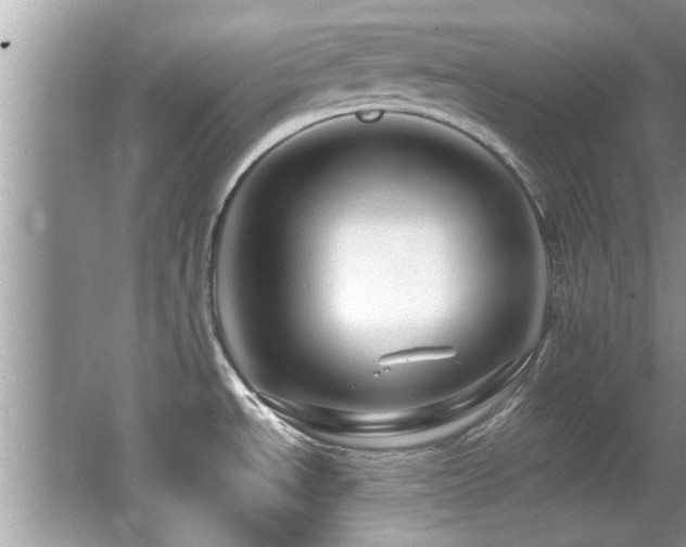 X0000065981534200603031141