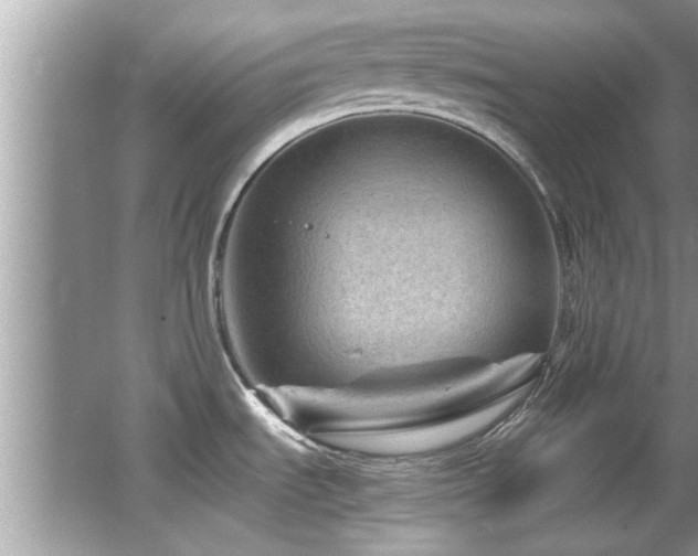 X0000065981535200603031141