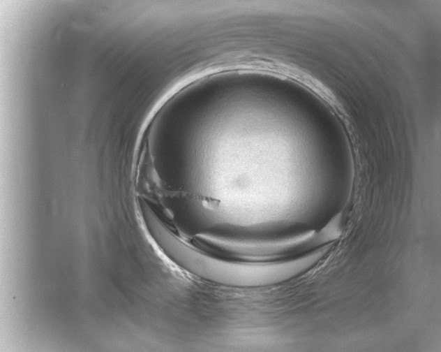 X0000065981536200603031141