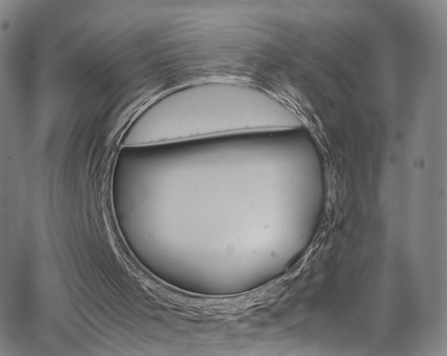 X0000065980001200603061226