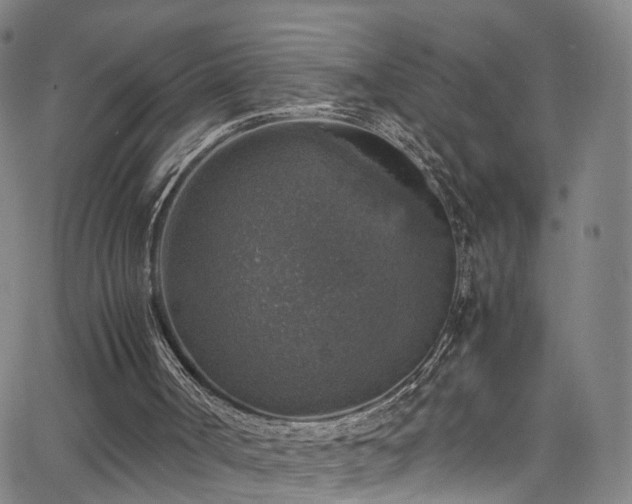 X0000065980002200603061226