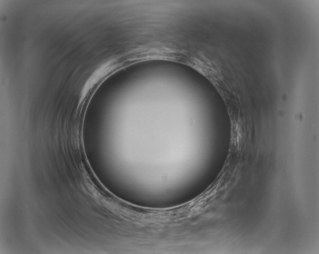 X0000065980004200603061226