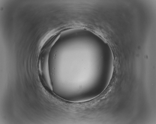 X0000065980007200603061226