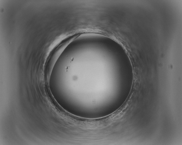 X0000065980008200603061226