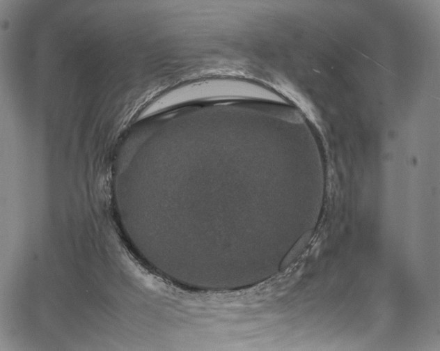 X0000065980009200603061226