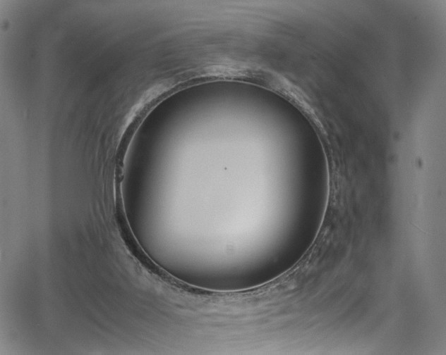 X0000065980011200603061226